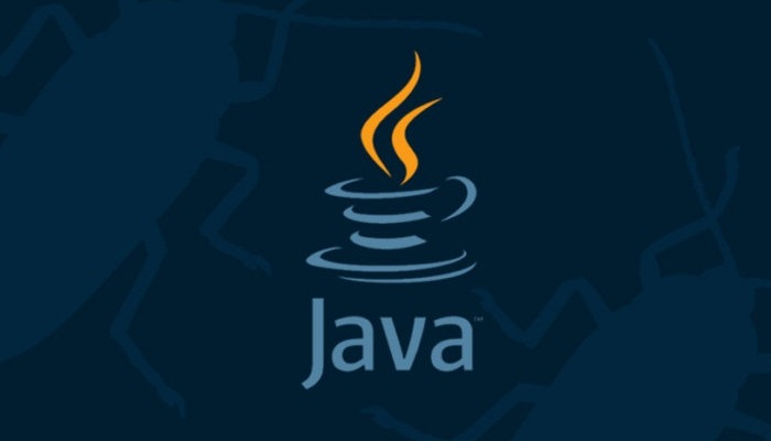 lenguaje Java 